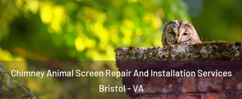  Chimney Animal Screen Repair And Installation Services Bristol - VA