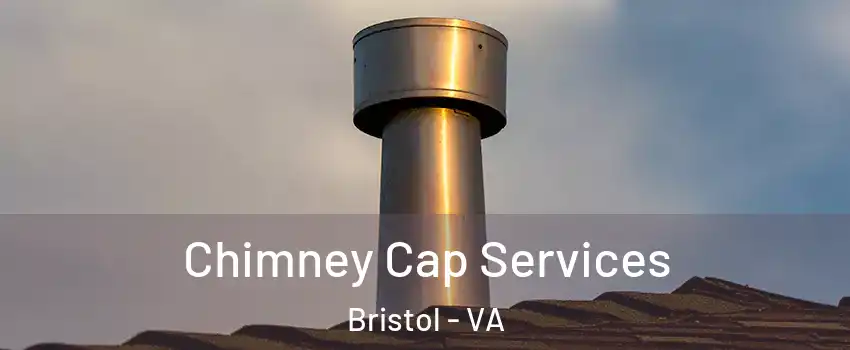  Chimney Cap Services Bristol - VA