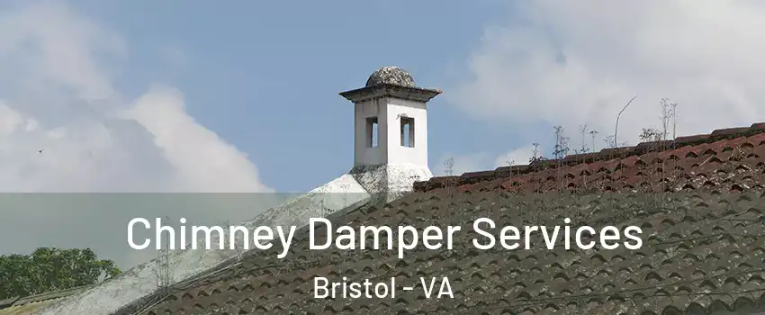  Chimney Damper Services Bristol - VA