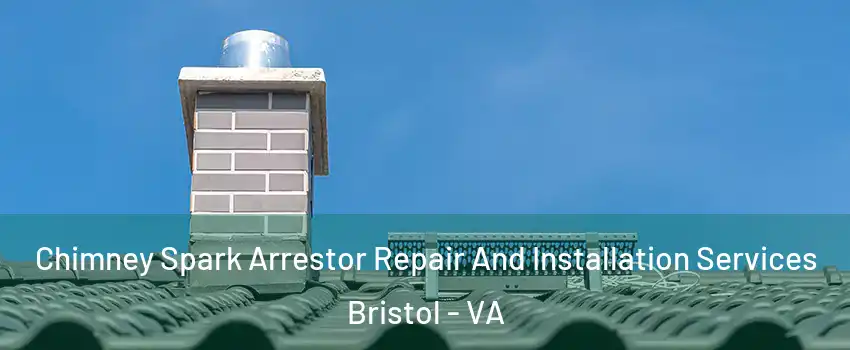  Chimney Spark Arrestor Repair And Installation Services Bristol - VA