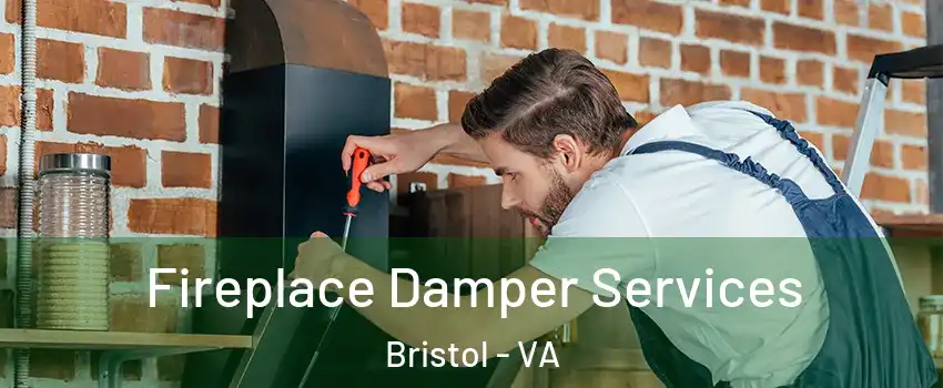  Fireplace Damper Services Bristol - VA