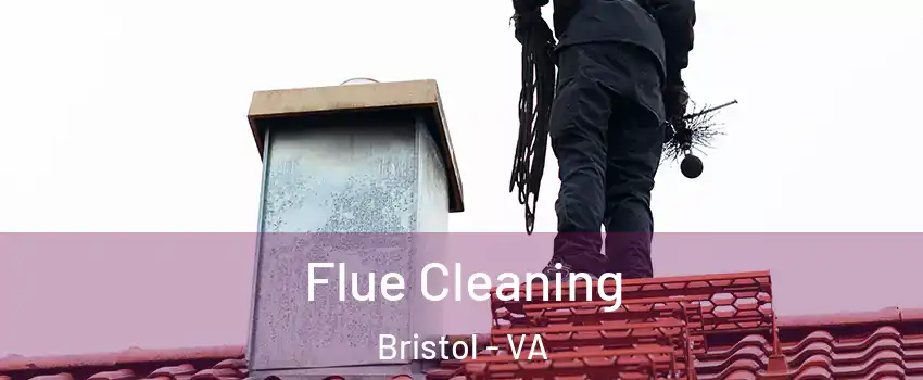  Flue Cleaning Bristol - VA