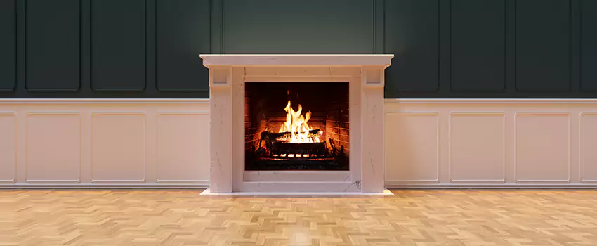Napoleon Electric Fireplaces Inspection Service in Bristol, Virginia