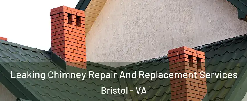  Leaking Chimney Repair And Replacement Services Bristol - VA