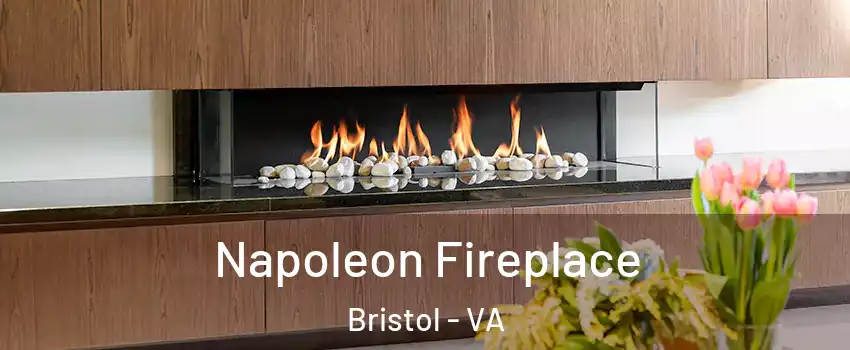  Napoleon Fireplace Bristol - VA